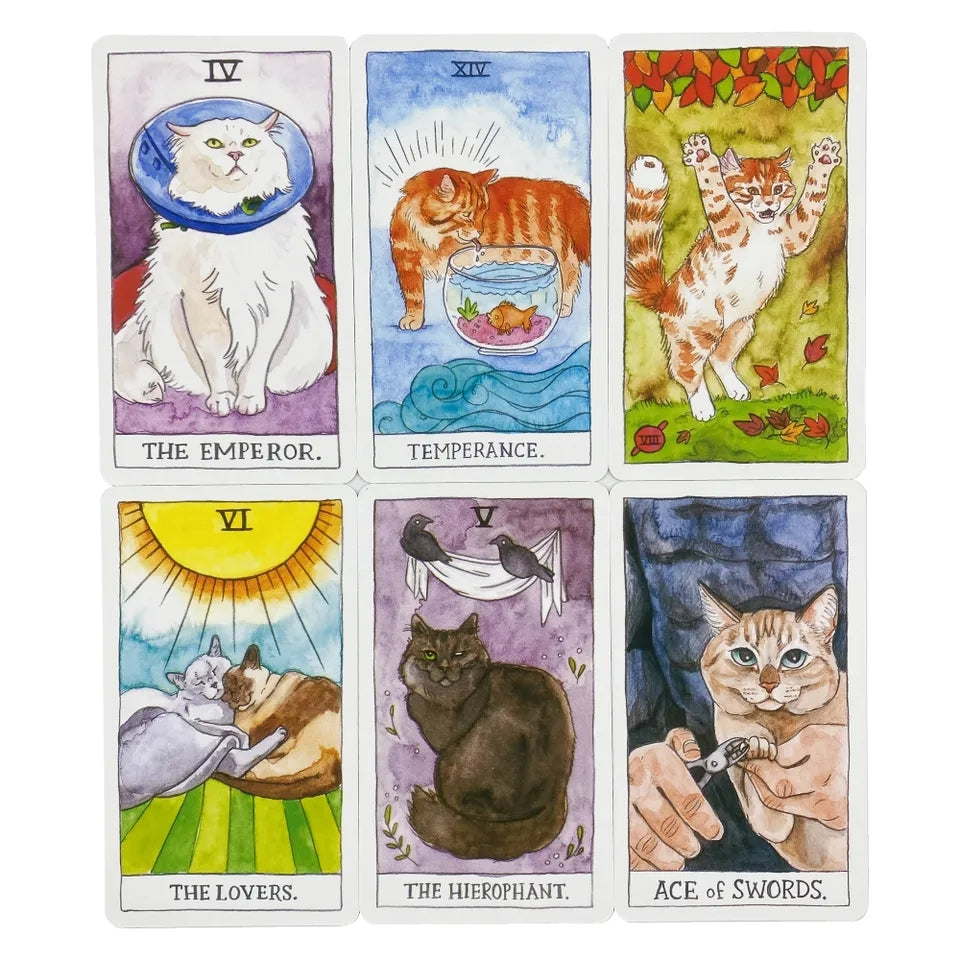 Tarot/Oracle Card Decks